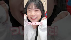 気になって夜も眠れない!【大阪・関西万博で気になる3選と万博グッズ】#大阪関西万博 #推し万博 #EXPO2025 #4月13日開幕
