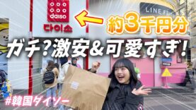 【韓国ダイソー】さすがに激安＆可愛すぎる♪総額約3千円分の購入品紹介！