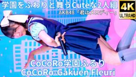 ③カバー曲【4K/60p】CoCoRo学園ふるり（Japanese idol group CoCoRo-Gakuen Fleuri）「CoCoRo学園ふるり」高田馬場BSホール 2024年11月16日