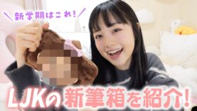 ついにLJKになる私の新学期からの新筆箱を紹介！文房具もいろいろ追加するよ♪