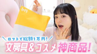 【ロフト購入品】こんなのが欲しかった！勉強捗る神文房具＆神コスメ総額1万円分紹介♪