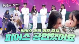 피어스 콘서트 도중에 넘어졌습니다…괜찮을까요? 눈물 바다가 된 공연장 이유는?😭｜클레버TV